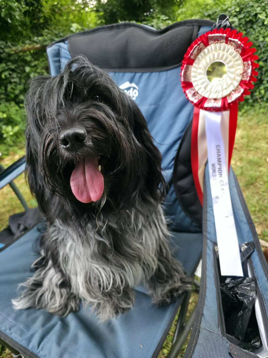 Championat du monde à Bologne