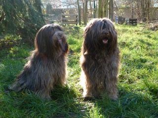 Du bois des nonnes - Gaynor et Benny