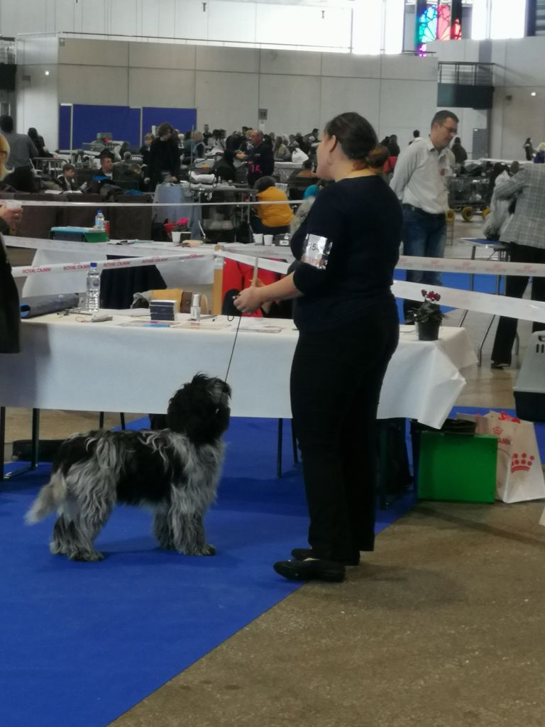 Du bois des nonnes - spéciale de race à Metz le 2/11/19