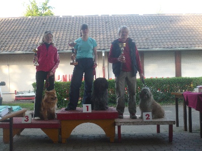 Du bois des nonnes - Championnat d'Alsace Agility