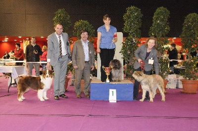 Du bois des nonnes - expo Colmar 2012