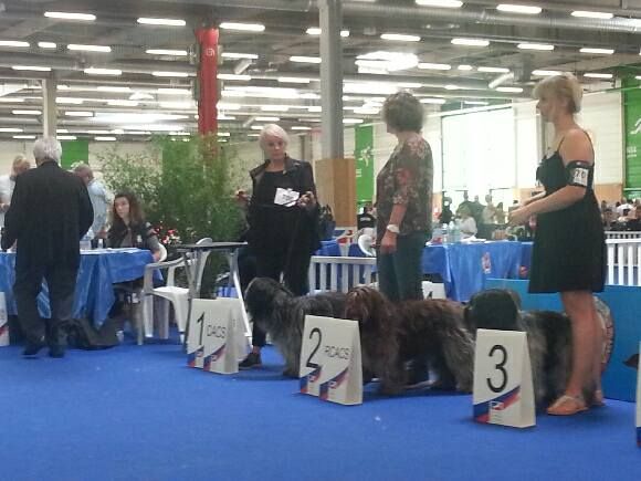 Du bois des nonnes - championnat de France 2018